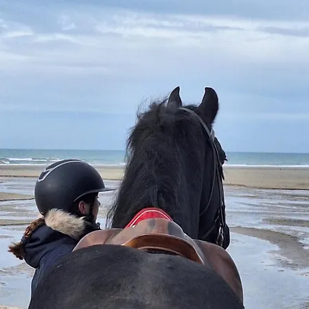 Apartamento Leonilys *