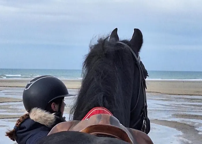 Appartement Leonilys *